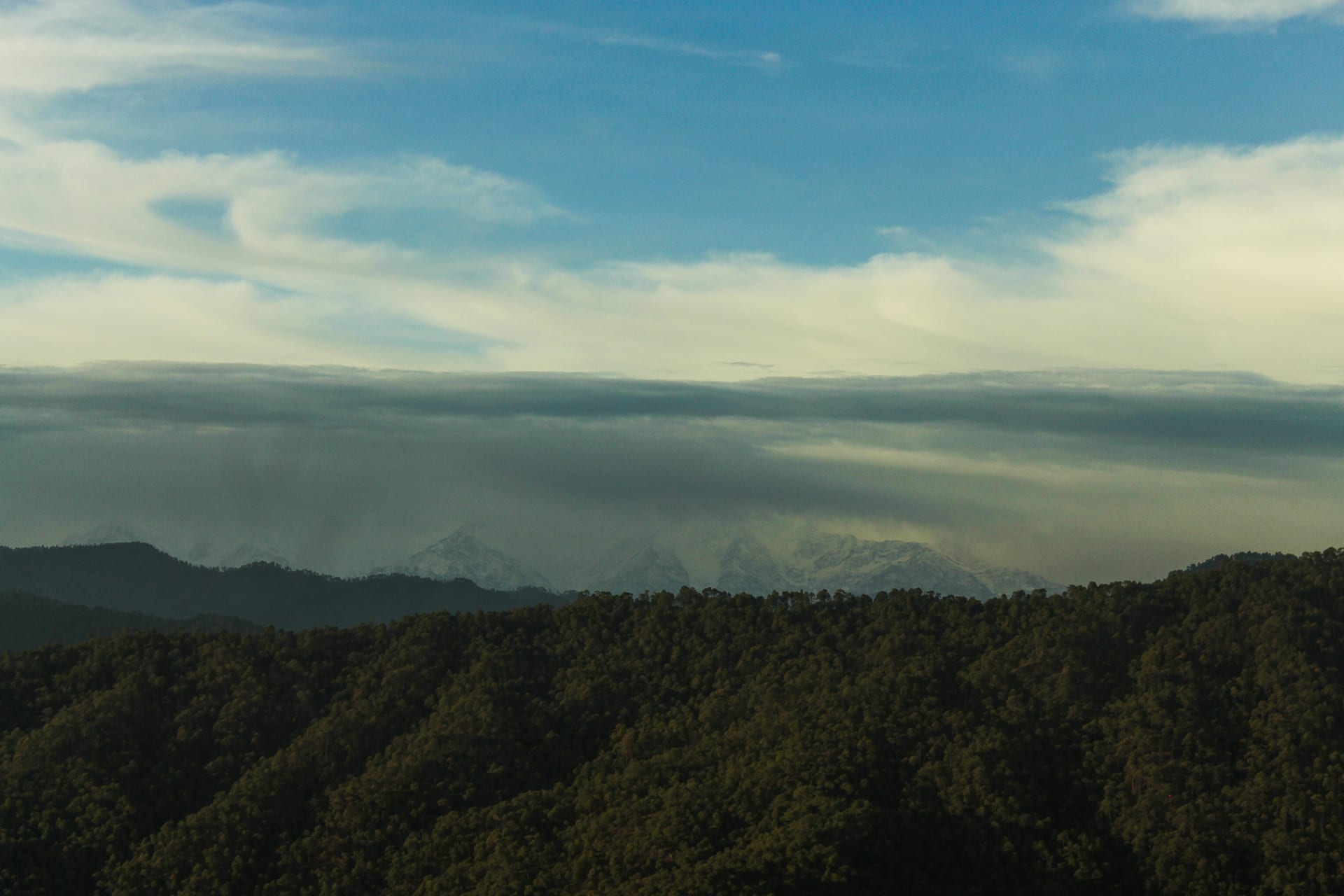 The Bookbound Guide to Kasar Devi: Walking the Legendary "Crank’s Ridge"