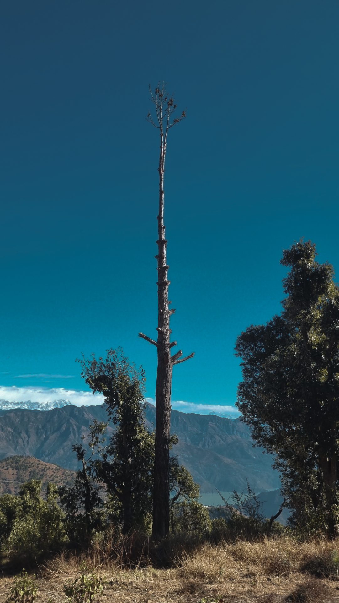 A Complete Travel Guide for Tehri Garhwal